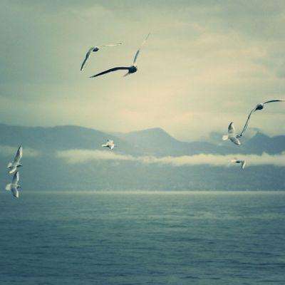 Welcome彩票中心注册大厅进入app下载