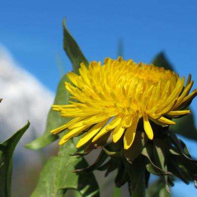 半岛官网入口下载